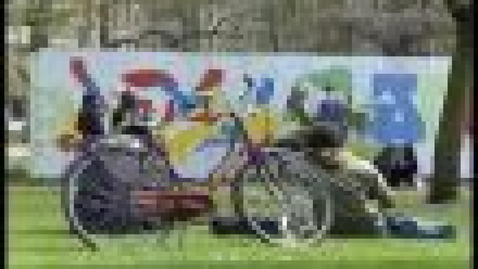 Graffitis: une fresque dans le jardin botanique